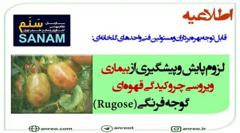 پایش و پیشگیری از بیماری ویروسی چروکیدگی قهوه‌ای گوجه فرنگی (Rugose)